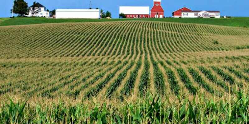 Fully Managed Farmland Projects in Bangalore