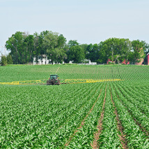 Fully Managed Farmlandsin Bangalore